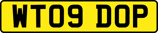 WT09DOP