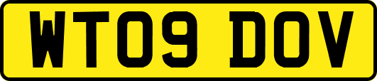 WT09DOV