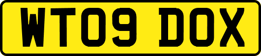 WT09DOX