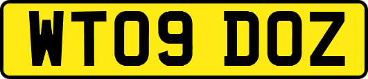 WT09DOZ