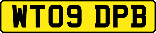 WT09DPB