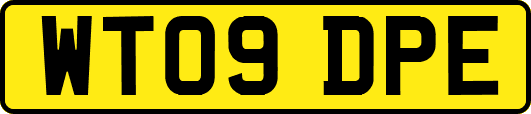WT09DPE