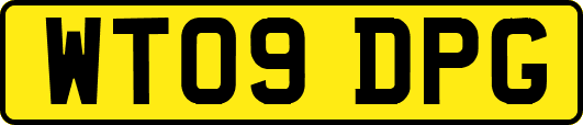 WT09DPG