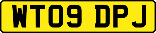 WT09DPJ