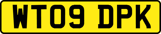 WT09DPK