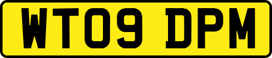 WT09DPM