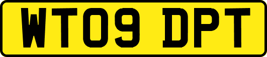 WT09DPT