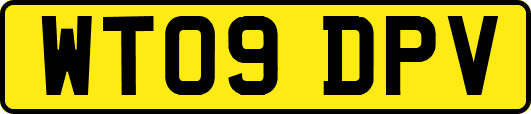 WT09DPV