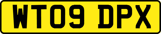 WT09DPX