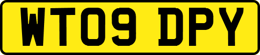 WT09DPY