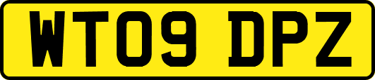 WT09DPZ