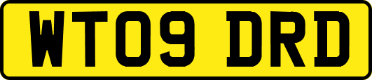 WT09DRD