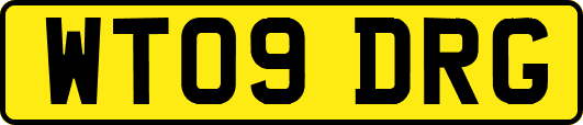 WT09DRG