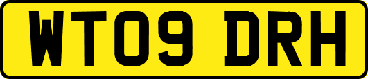 WT09DRH