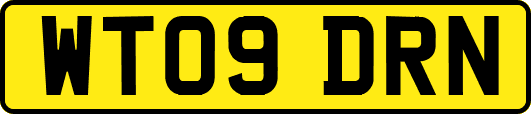 WT09DRN