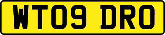 WT09DRO