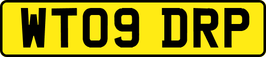 WT09DRP