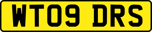 WT09DRS