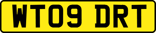 WT09DRT
