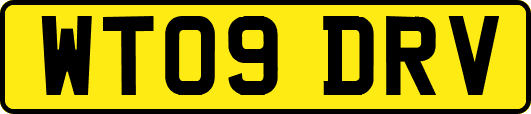 WT09DRV