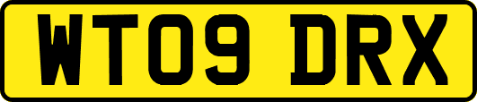 WT09DRX