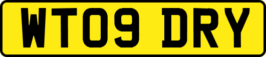 WT09DRY