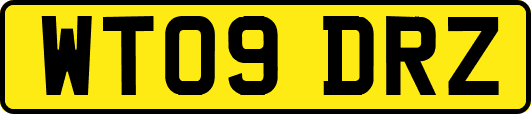 WT09DRZ