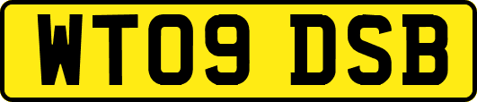WT09DSB