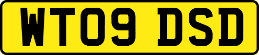 WT09DSD