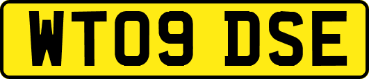 WT09DSE