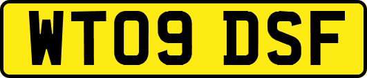 WT09DSF