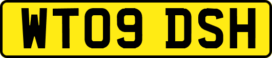 WT09DSH