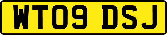 WT09DSJ