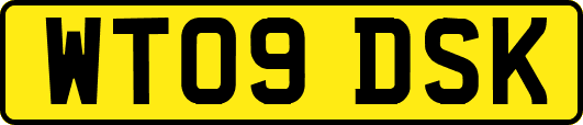 WT09DSK