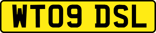 WT09DSL