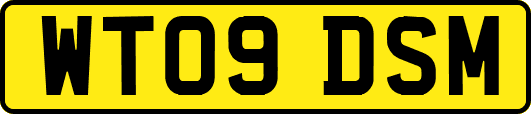 WT09DSM