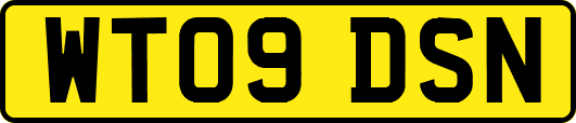 WT09DSN