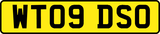 WT09DSO