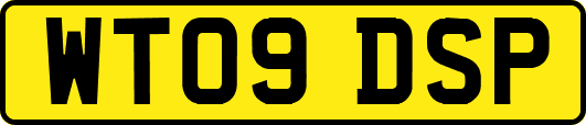 WT09DSP