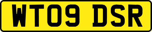 WT09DSR