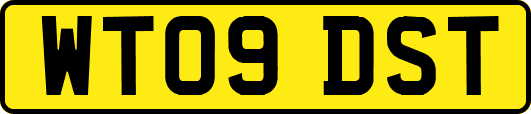 WT09DST