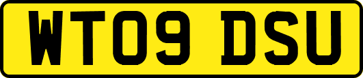 WT09DSU