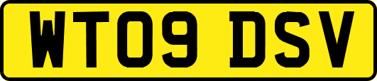 WT09DSV