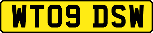 WT09DSW