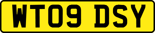 WT09DSY