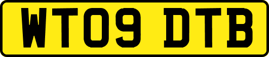 WT09DTB