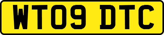 WT09DTC
