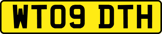 WT09DTH