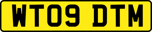 WT09DTM