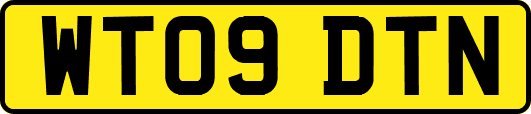 WT09DTN